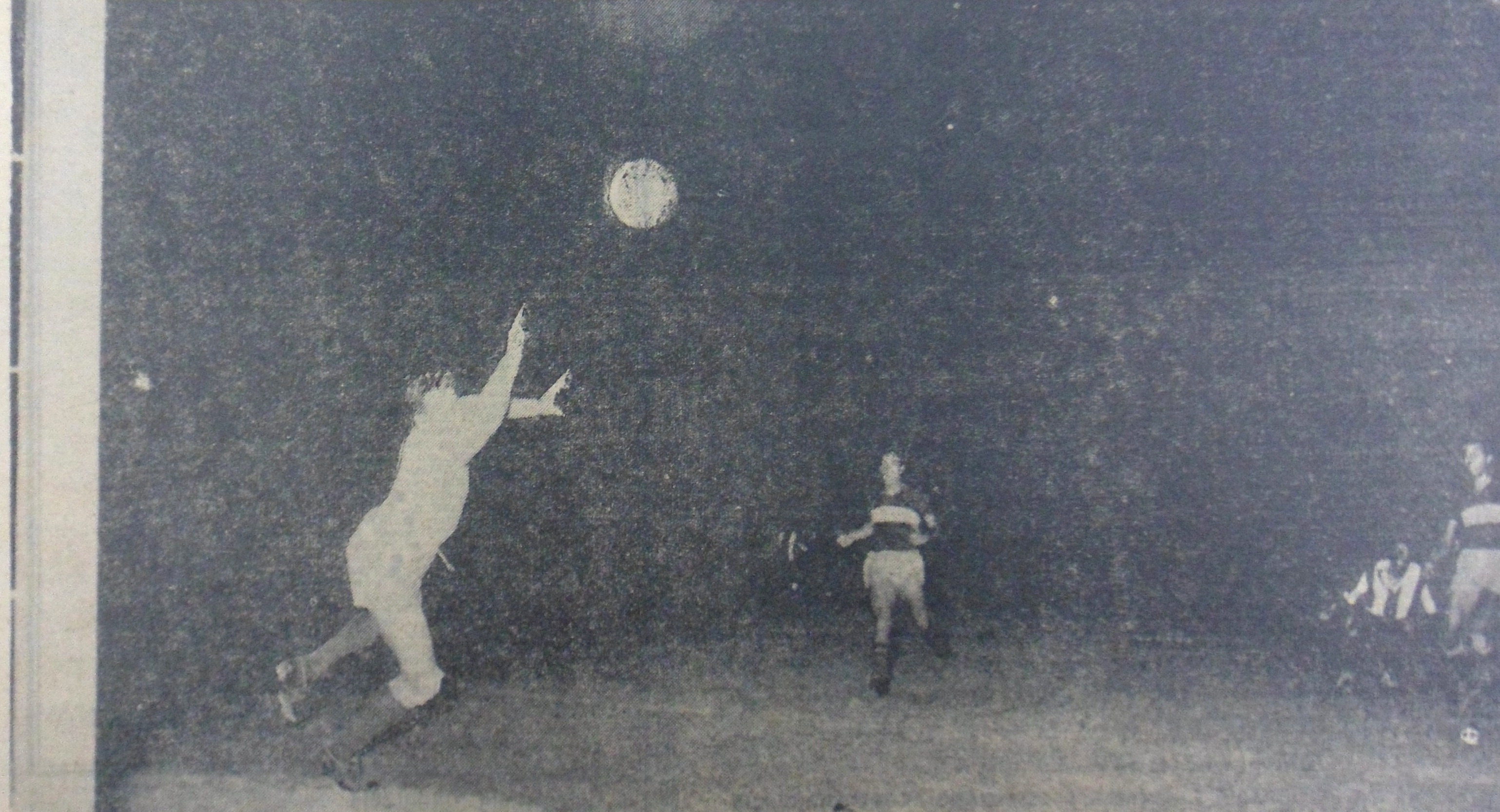 Copia de SAM_4182.JPG