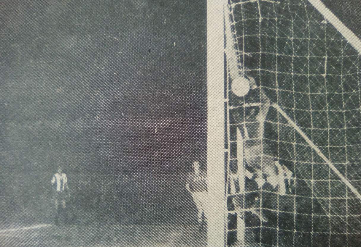 51750047_2046592075448857_4602394599711834112_n