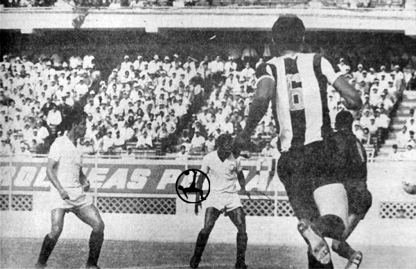 1942_ali.uni_02_lpr (1).jpg