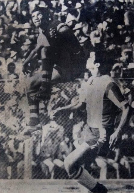 76 mel-ali