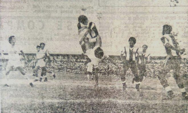 59973422_317553075580857_4440706484224917504_n (1)