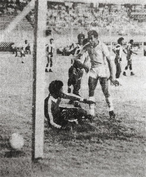 1975d_ali.mel_uh.jpg