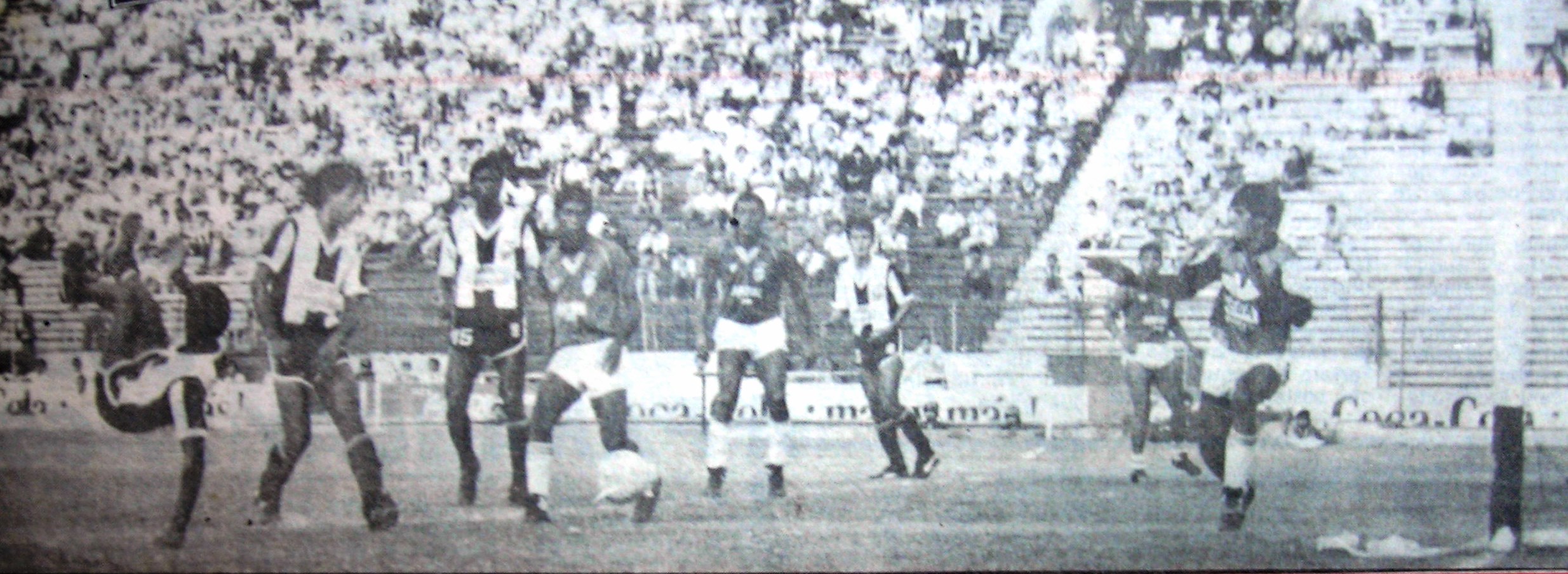 DSCN9604 - copia.JPG