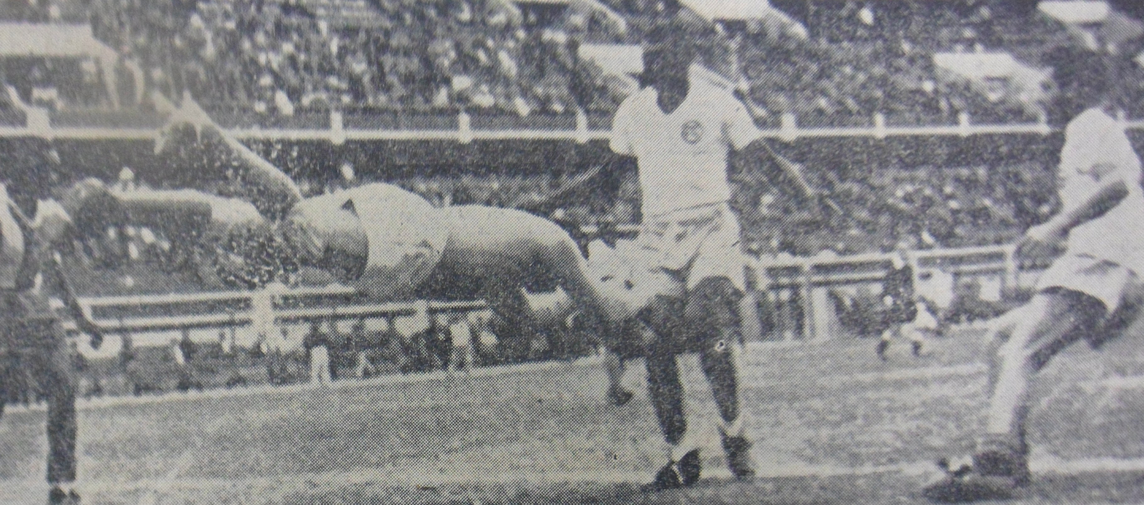 Copia de SAM_4005.JPG