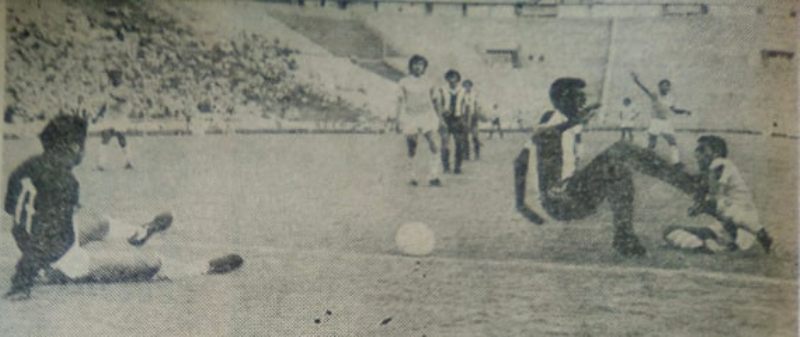 55473443_2119121101503457_7996601339847114752_n