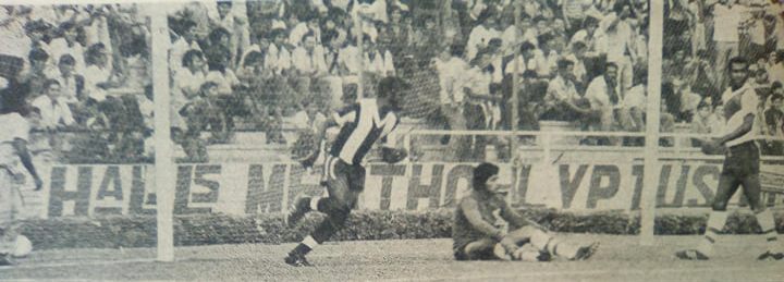 55853714_454477338626858_7731826763646369792_n